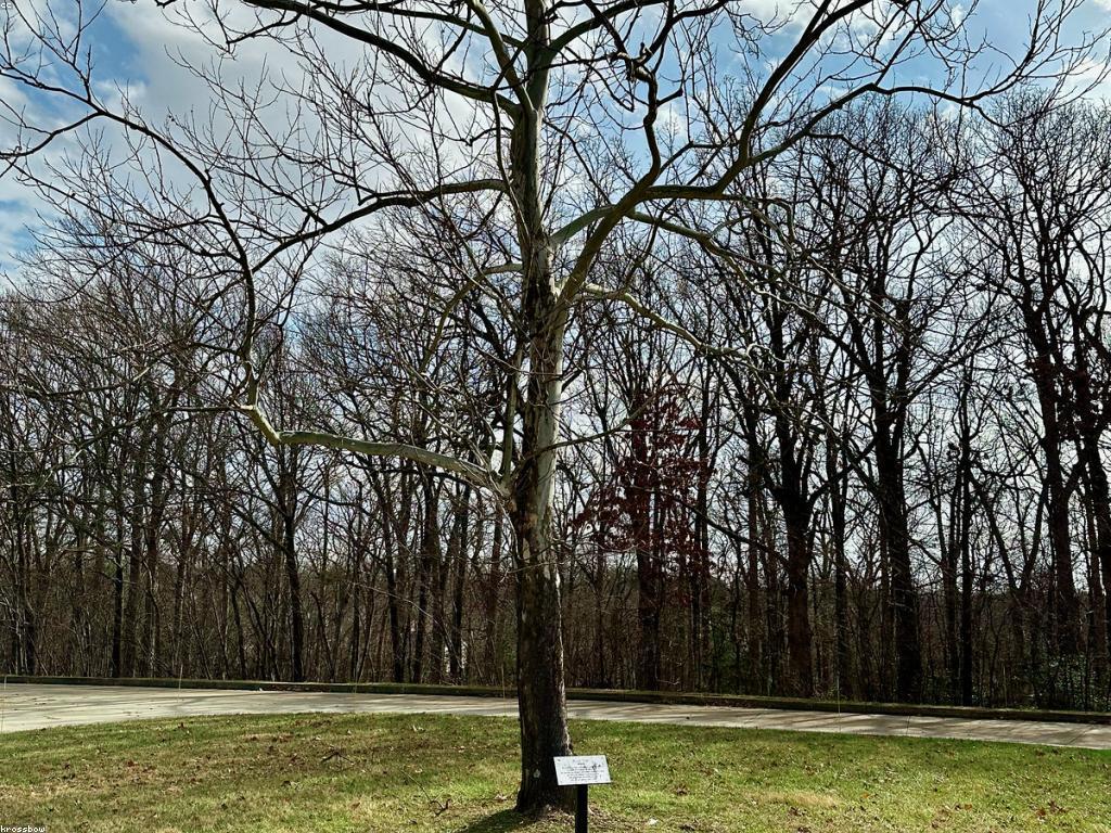 ឧបករណ៍សិក្សានិងមាតិកាវីដេអូសម្រាប់ការលើកកម្ពស់ការរៀន